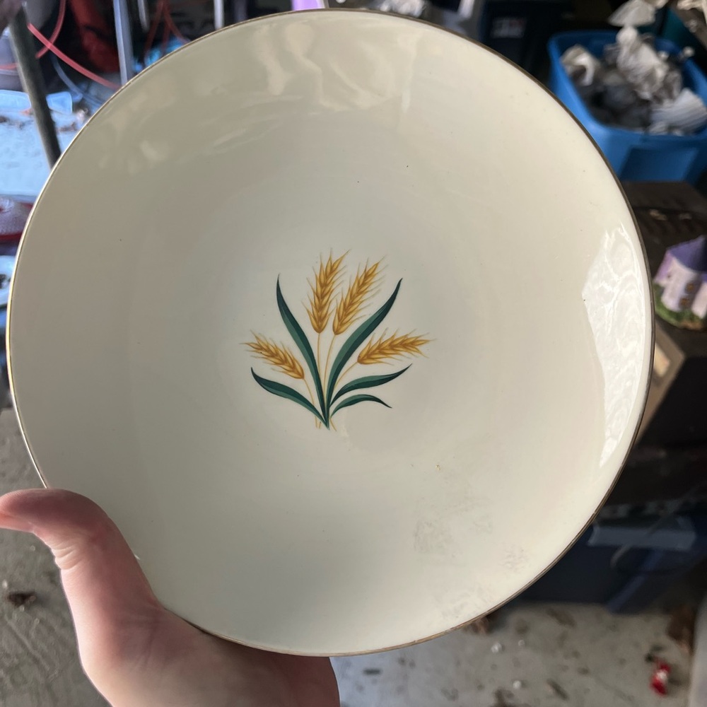 Set of 4 vintage Homer Laughlin dinner plate in the "Royal Harvest" pattern